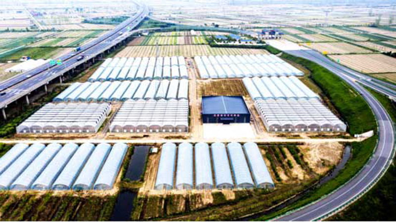 湖北金潤農(nóng)業(yè)發(fā)展有限公司?2000個(gè)優(yōu)質(zhì)新品種助農(nóng)增收