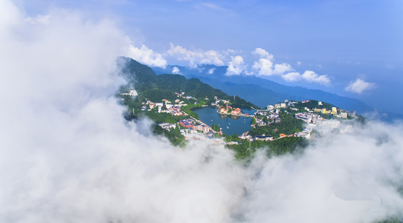QQ圖片20190606144525.jpg