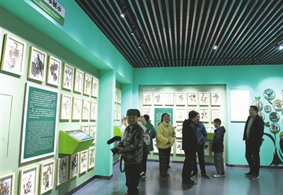 九宮山自然科普館 走進綠色森林 探秘自然科學
