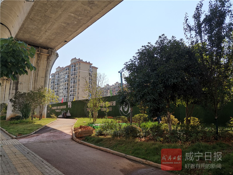 微信圖片_20190802080211.jpg